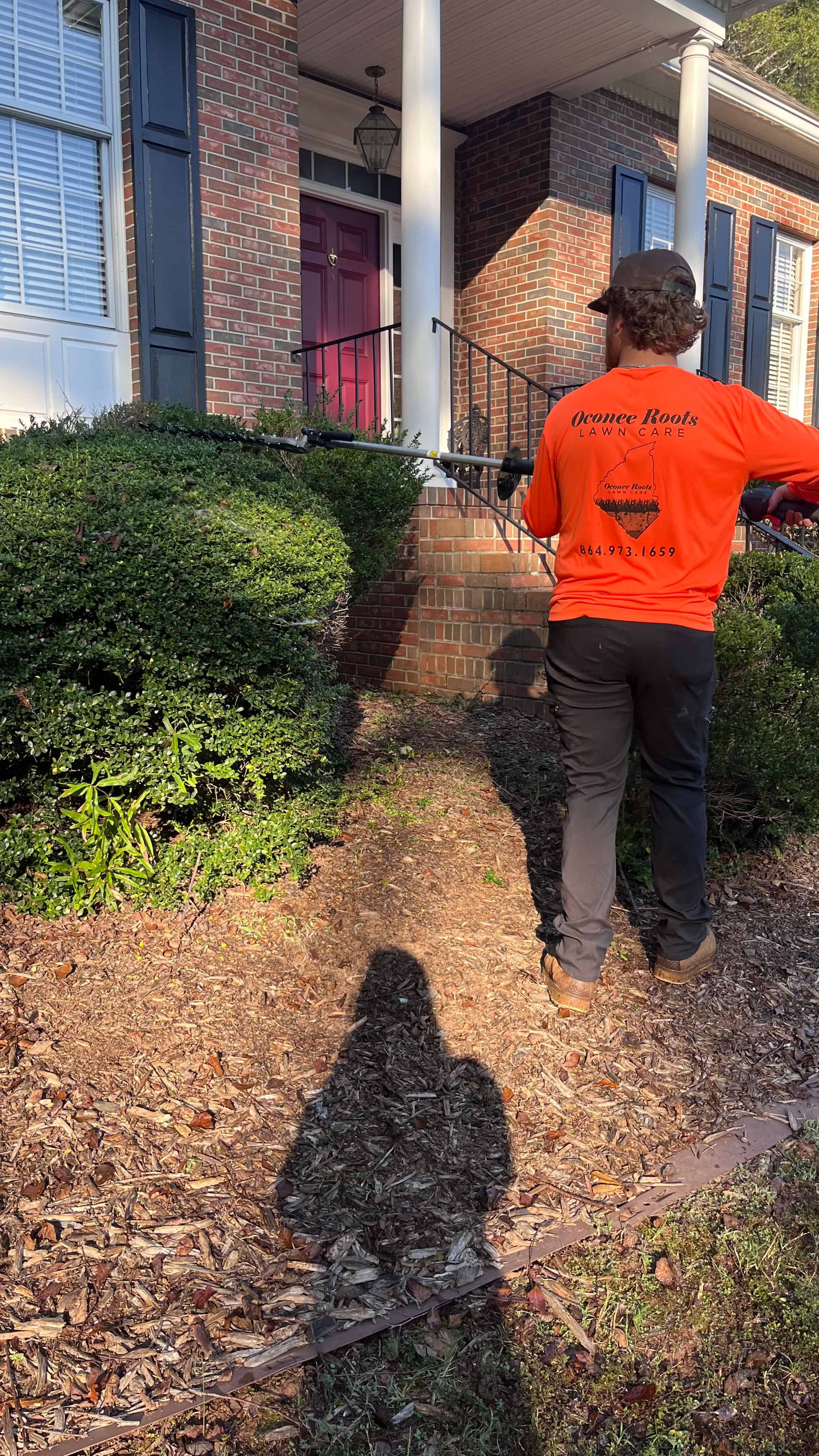 Shrub Trimming & Pruning image