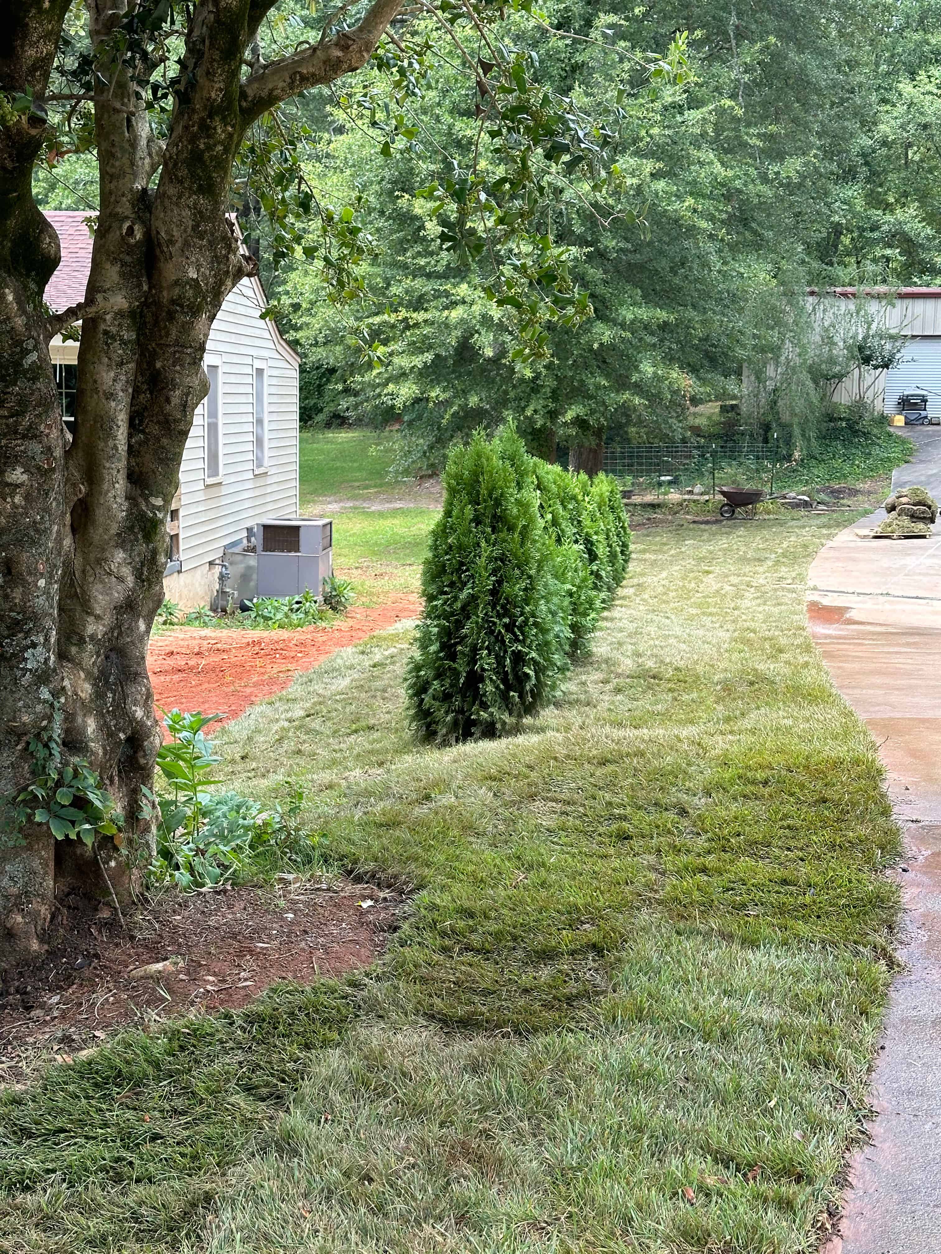Sod Installation image