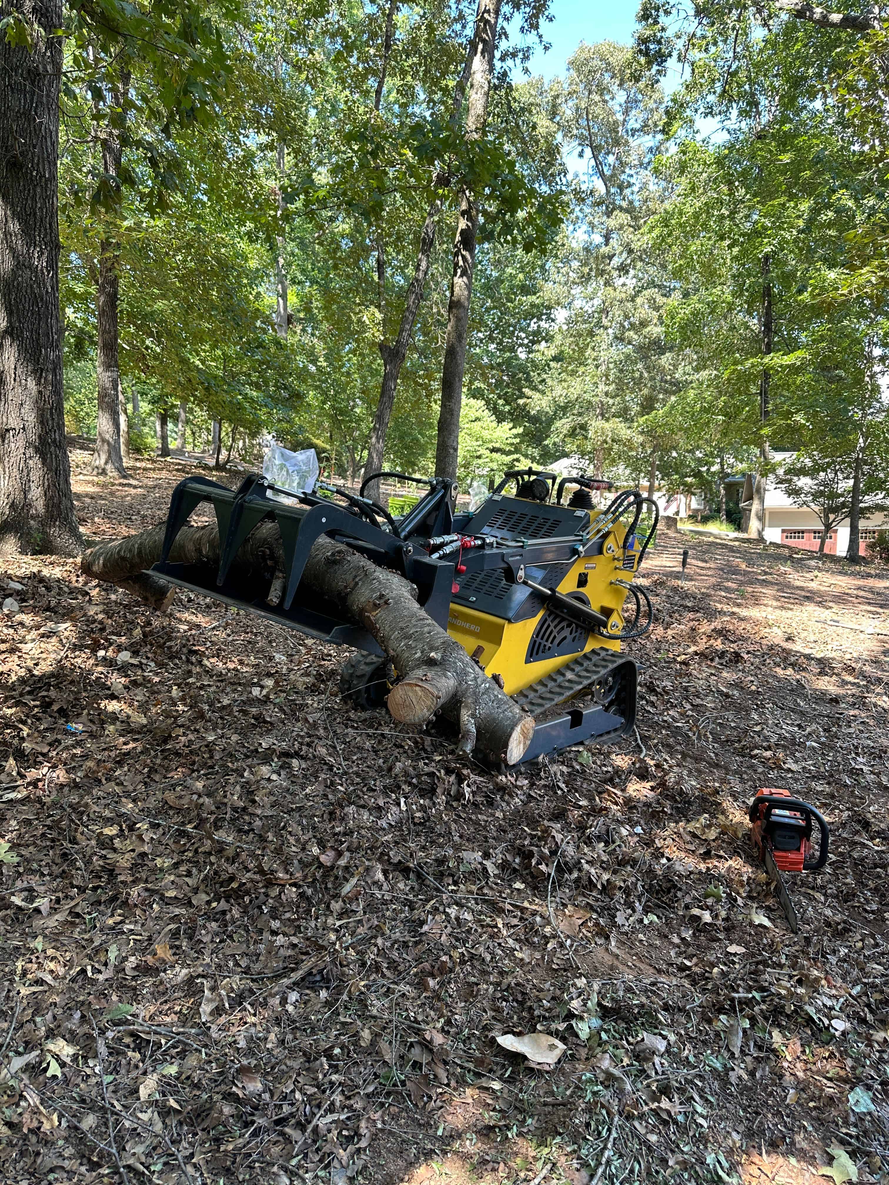 Seasonal Cleanups  image