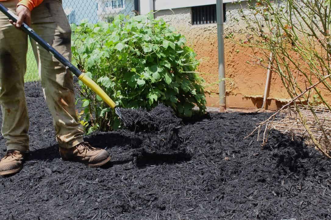 Mulch & Pine Needle Installation image