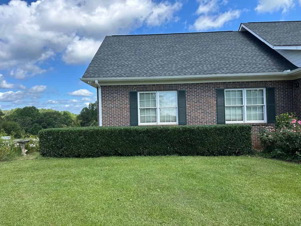 Shrub Trimming & Pruning image