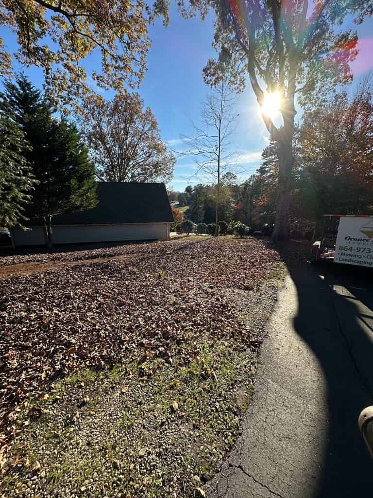 Leaf Removal & Cleanup image