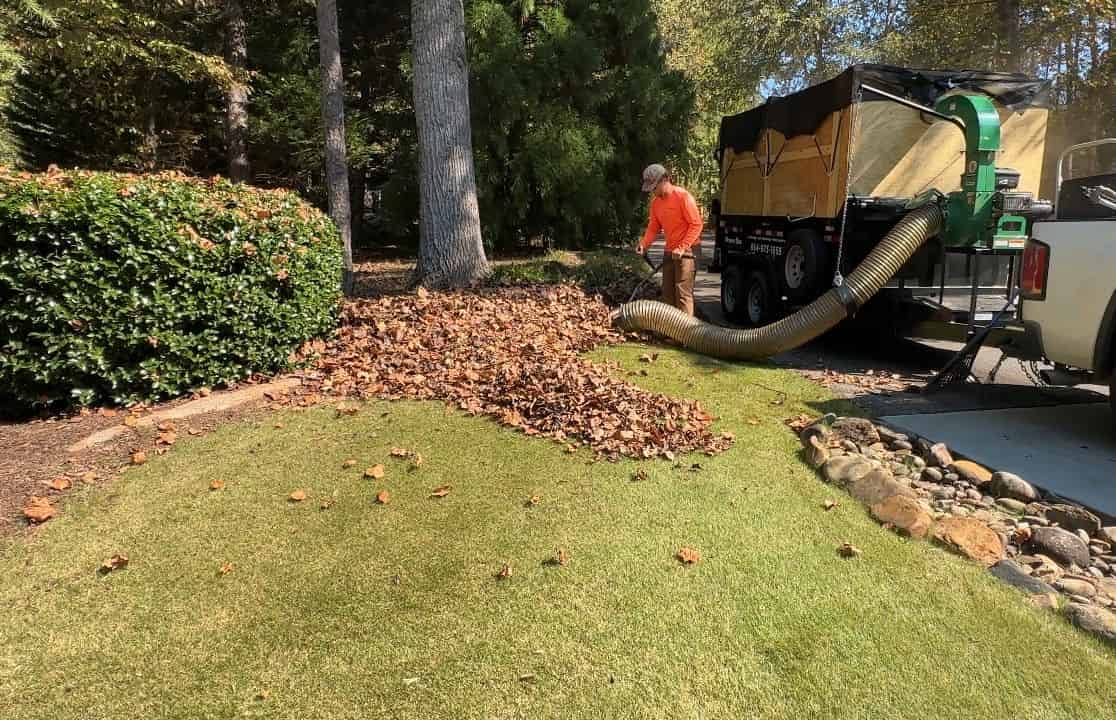 Leaf Removal & Cleanup image