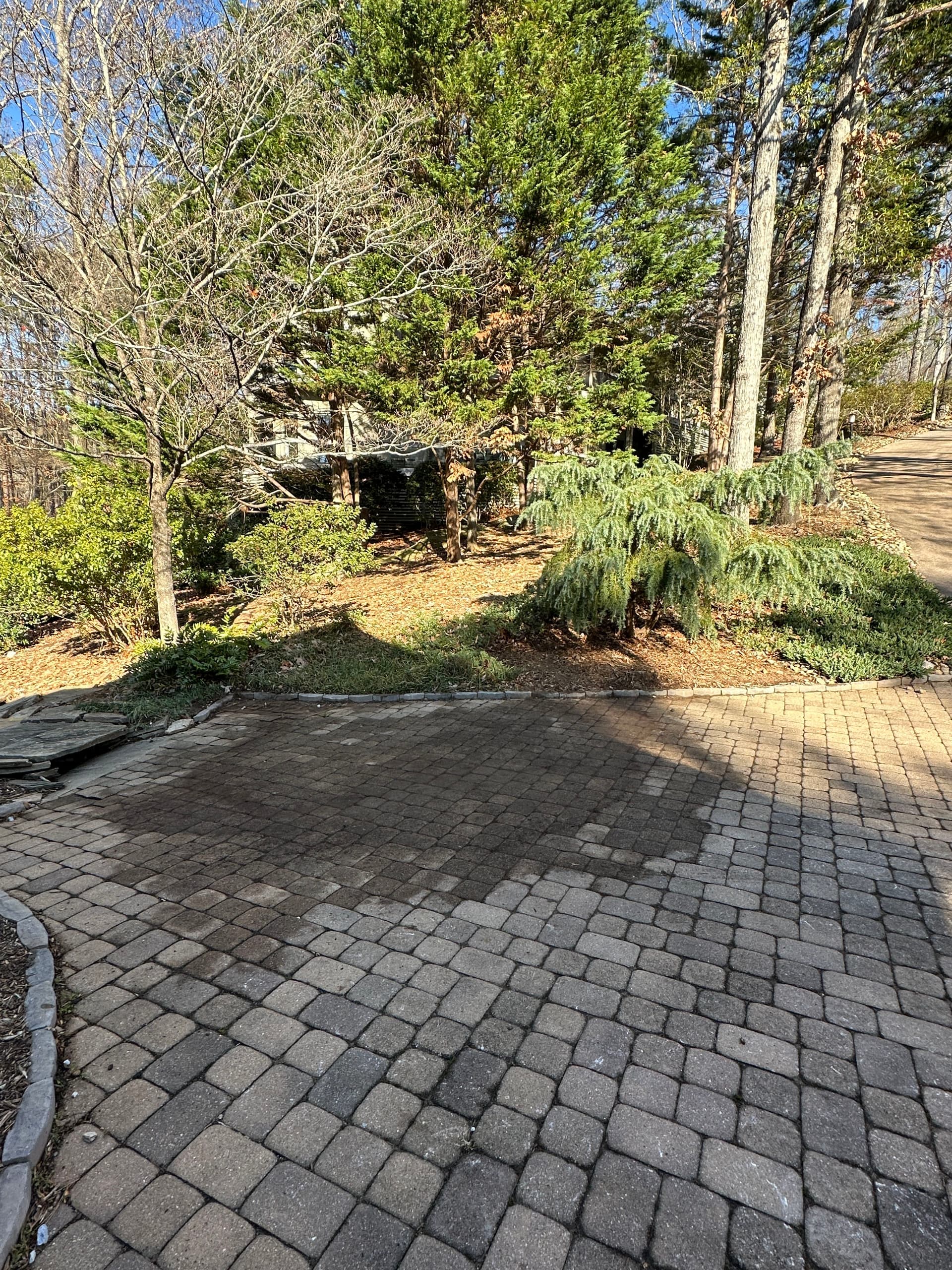 Gallery photos for Leaf Cleanup in Outdoor Spaces: Image #1