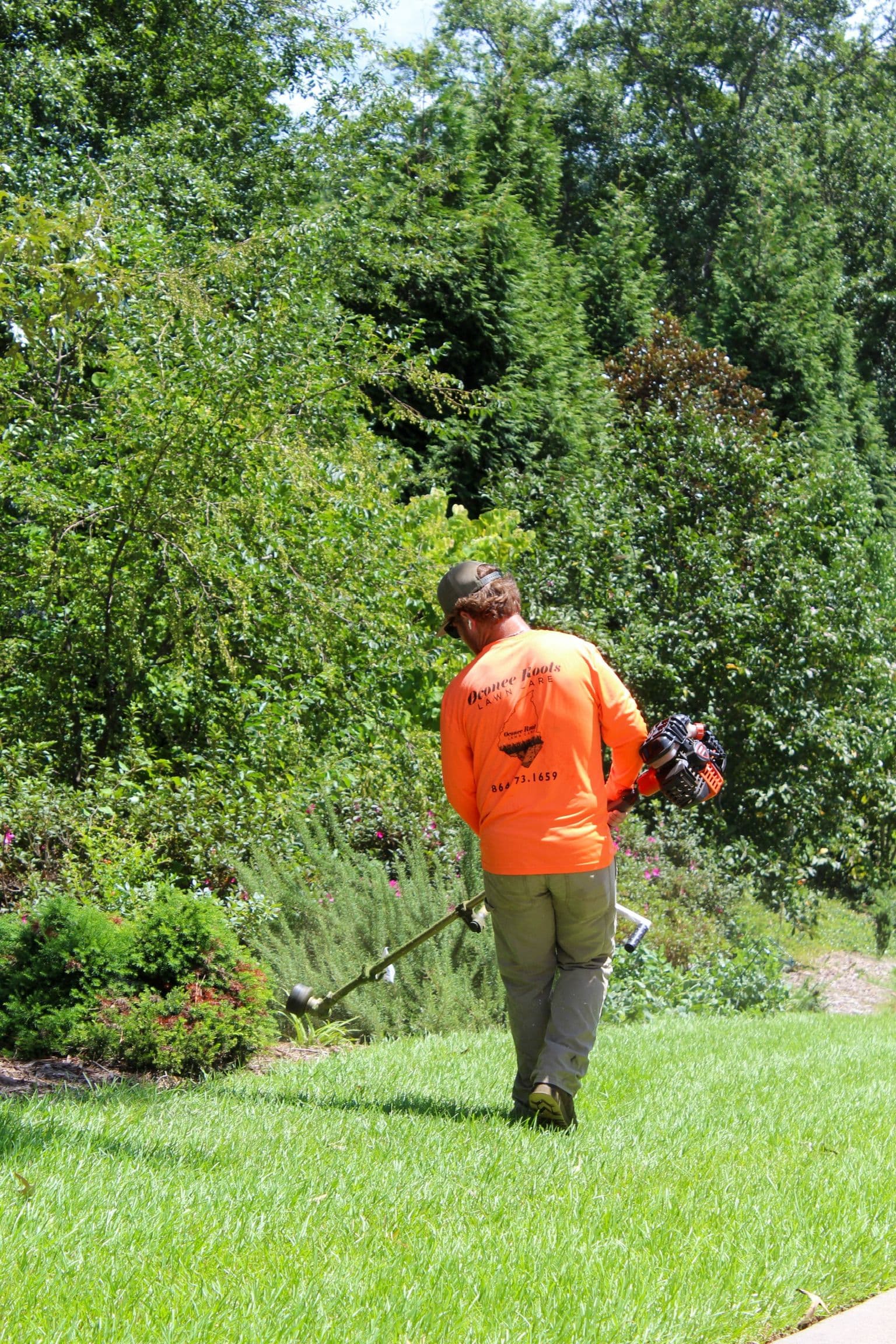 Gallery photos for Celebrating Trust and Growth with Our Lawn Care Services: Image #4