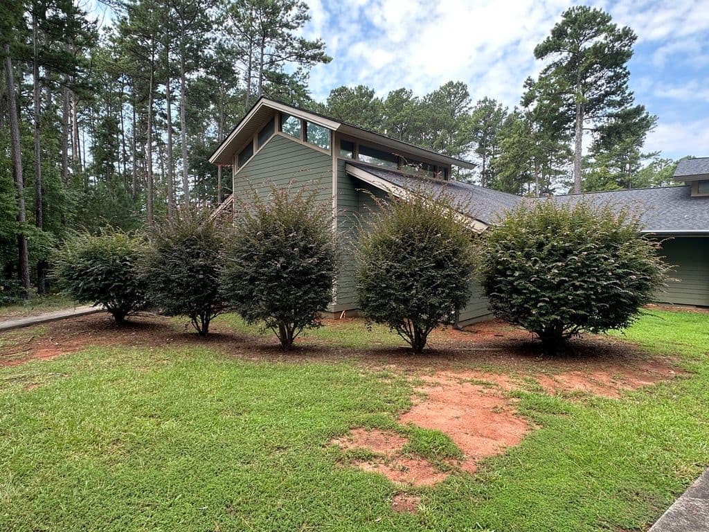 Transforming Front Yard with Expert Pruning