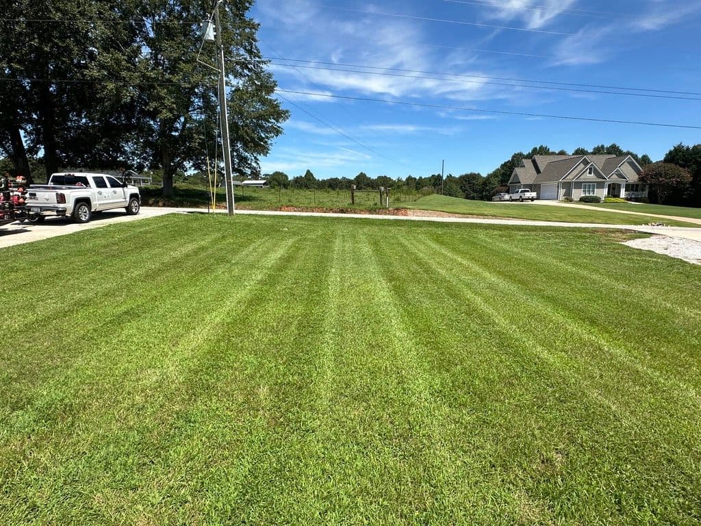 Gallery photos for Transform Your Lawn into a Green Paradise: Image #2