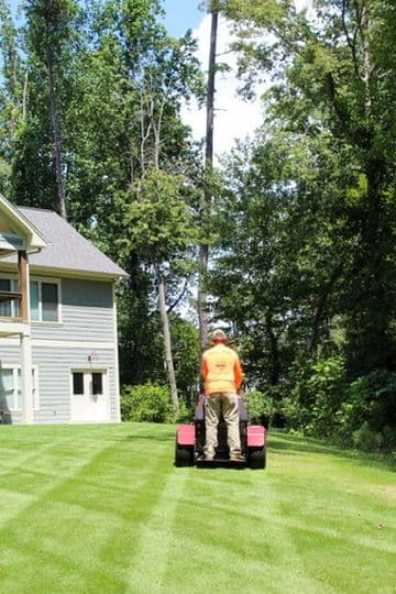 Project Honoring Labor Day with Lush Lawns image