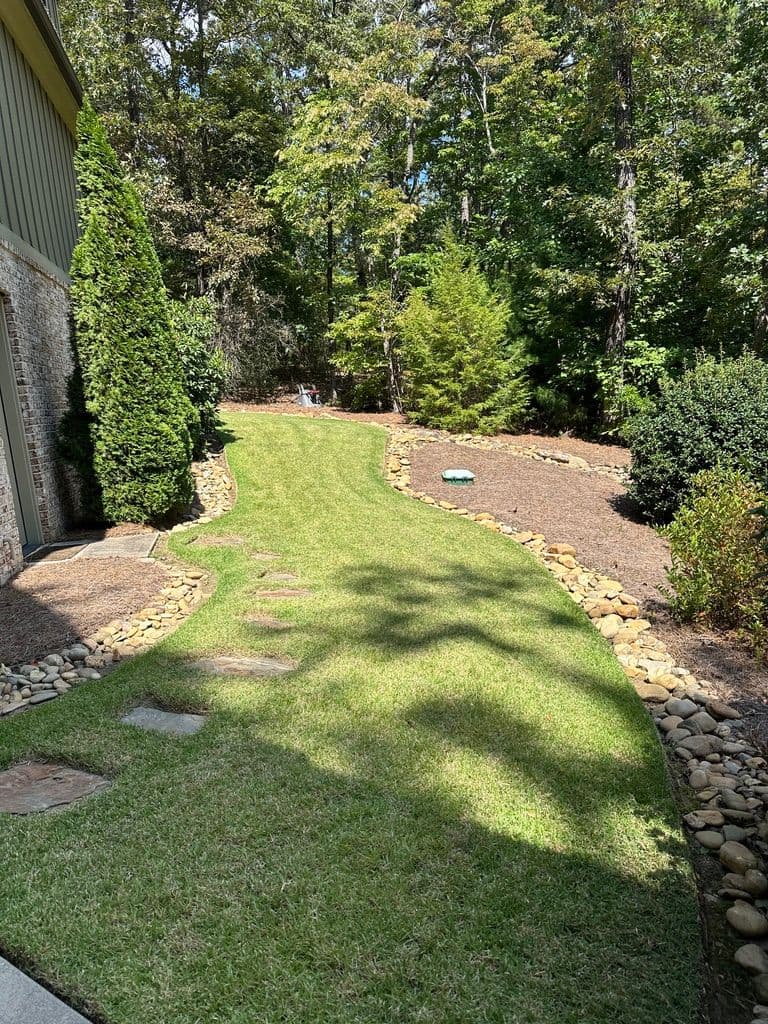 Project Transform Your Yard This Leaf Season image