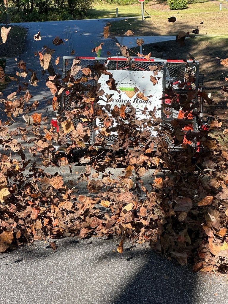 Leaf Removal Made Easy with Our Advanced Equipment image