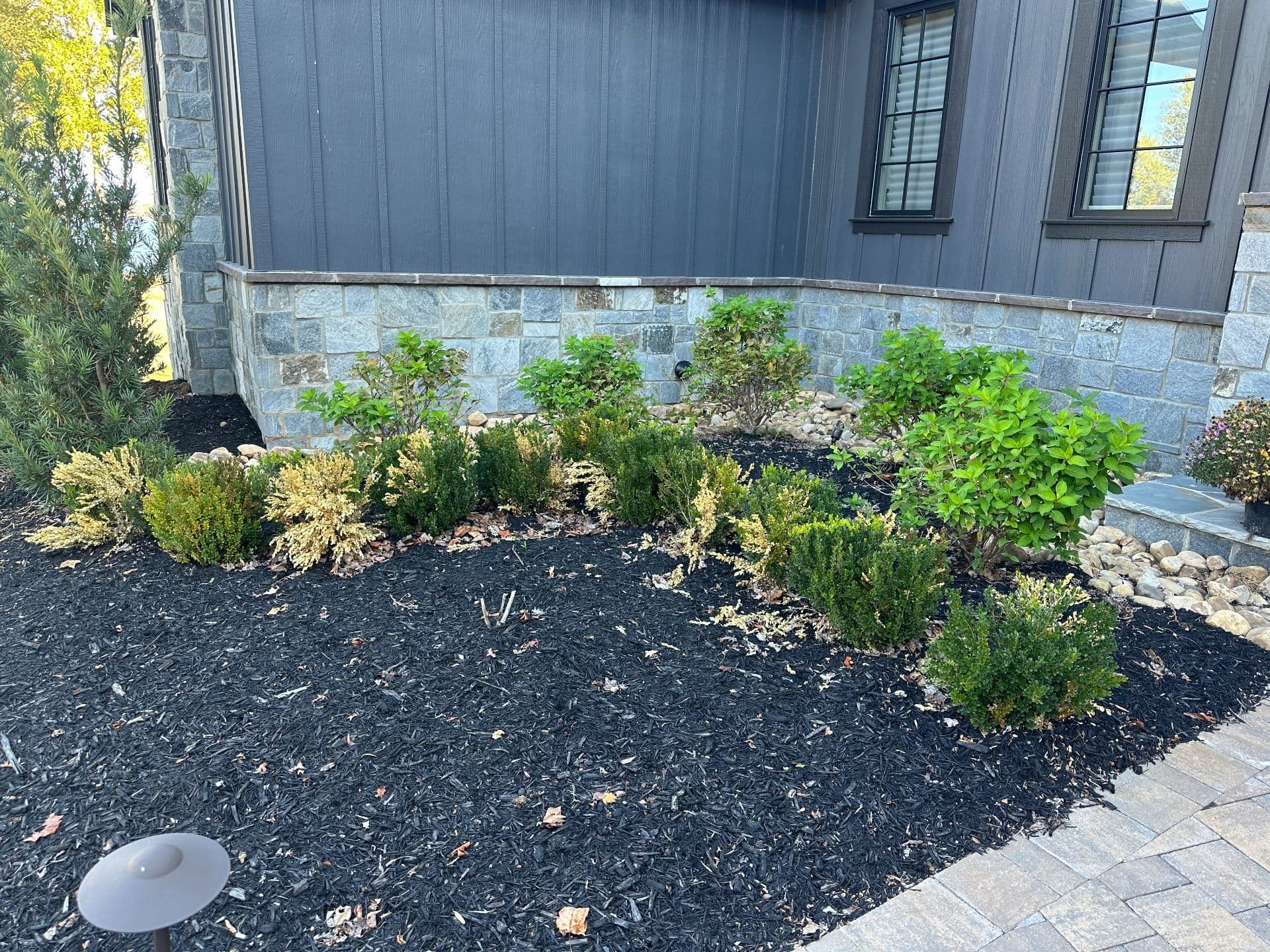 Project Clearing the Way for a Fresh Start image