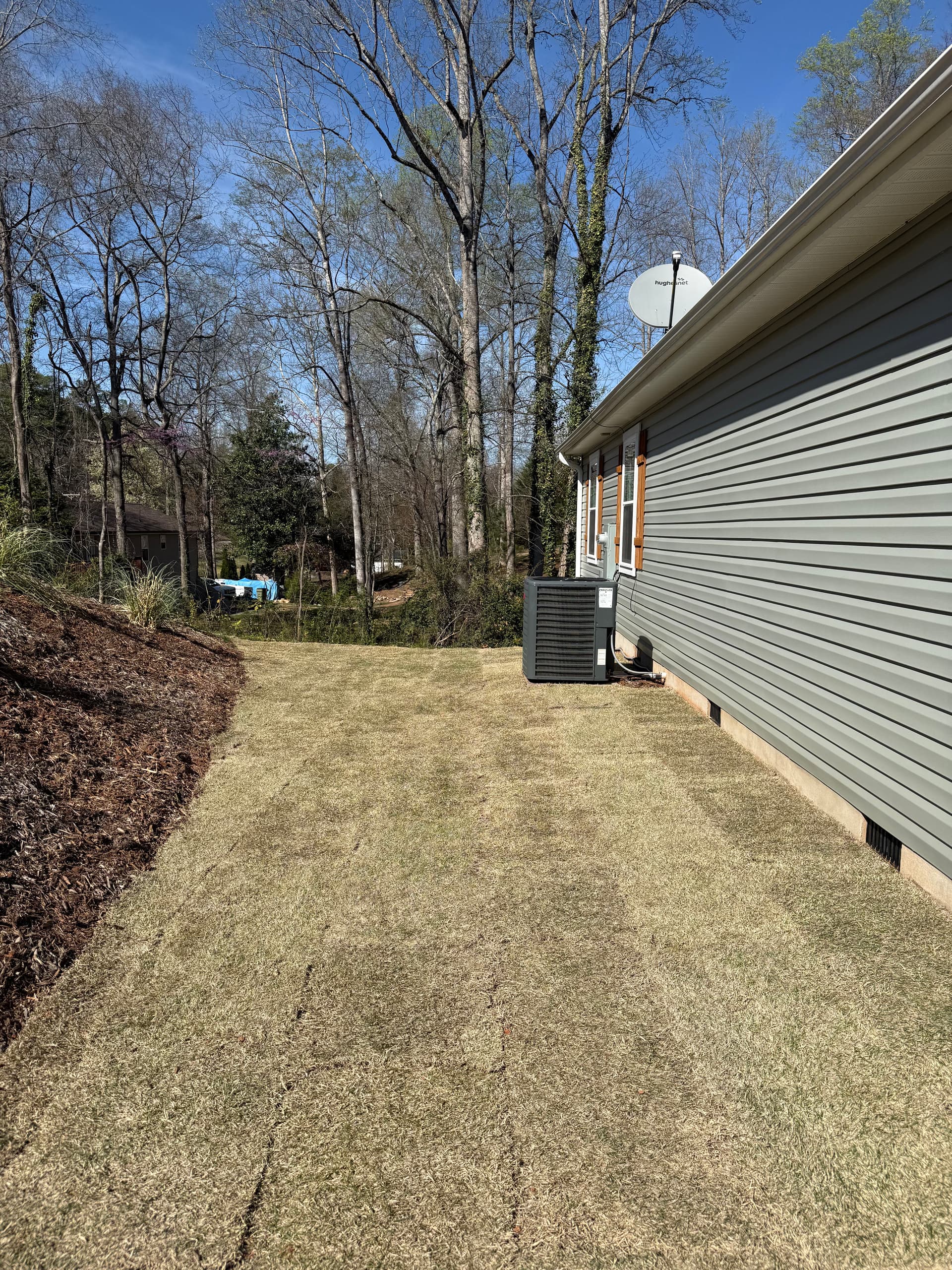 Gallery photos for Lawn Transformation with Zoysia Sod: Image #3