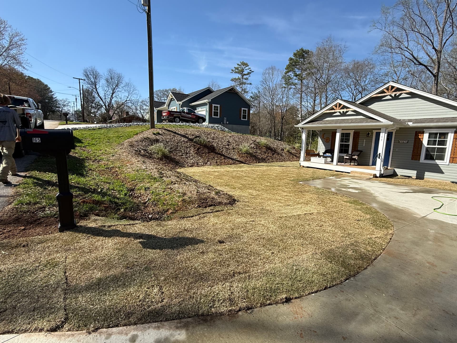 Gallery photos for Lawn Transformation with Zoysia Sod: Image #1