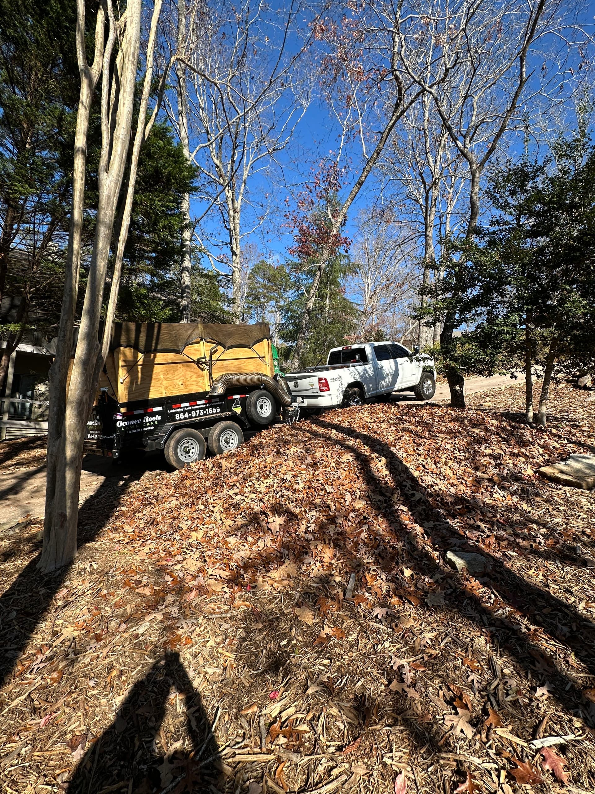 Gallery photos for Celebrating Trust and Growth with Our Lawn Care Services: Image #3