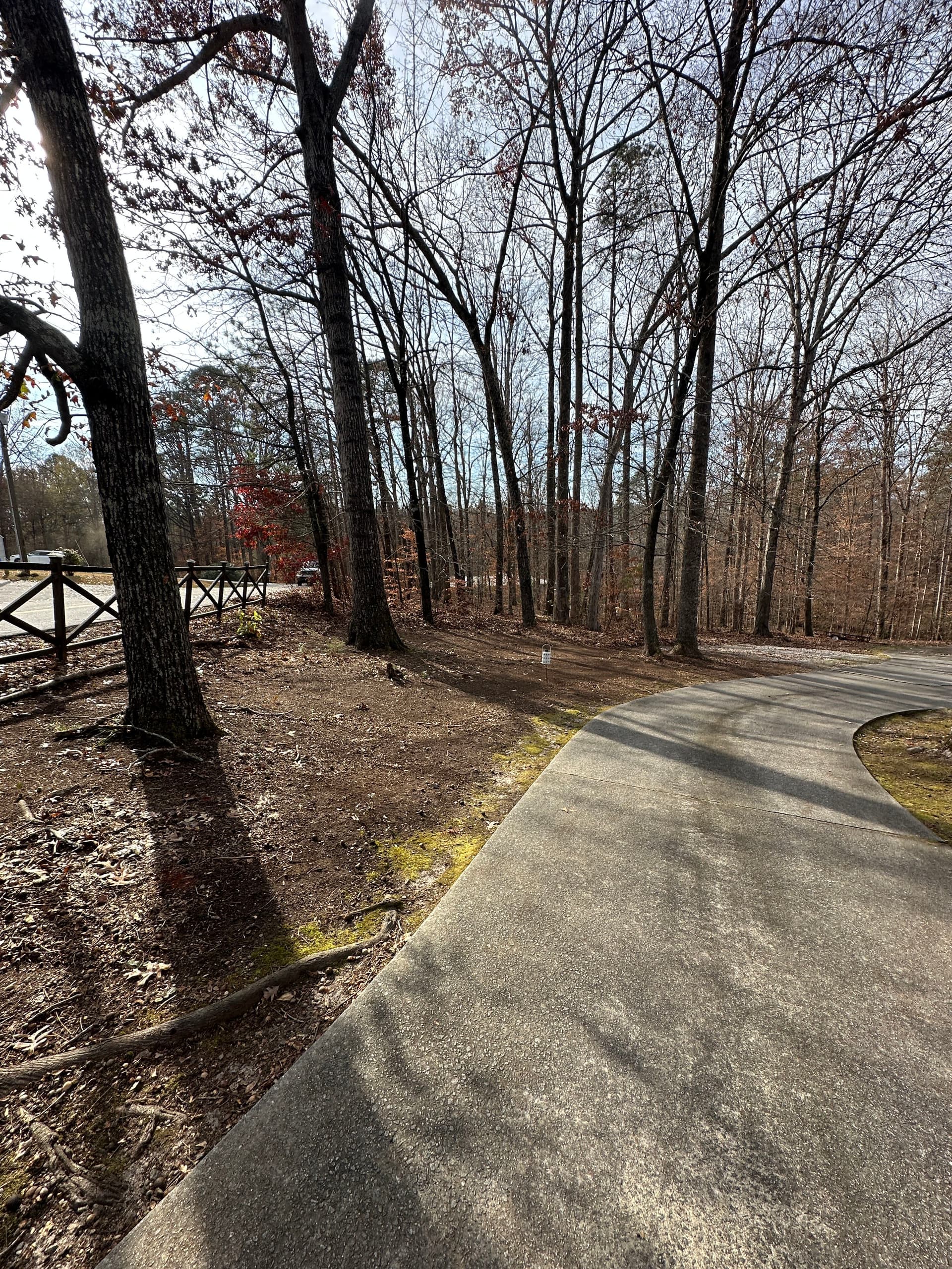 Gallery photos for Leaf-Free Yard Transformation: Image #4