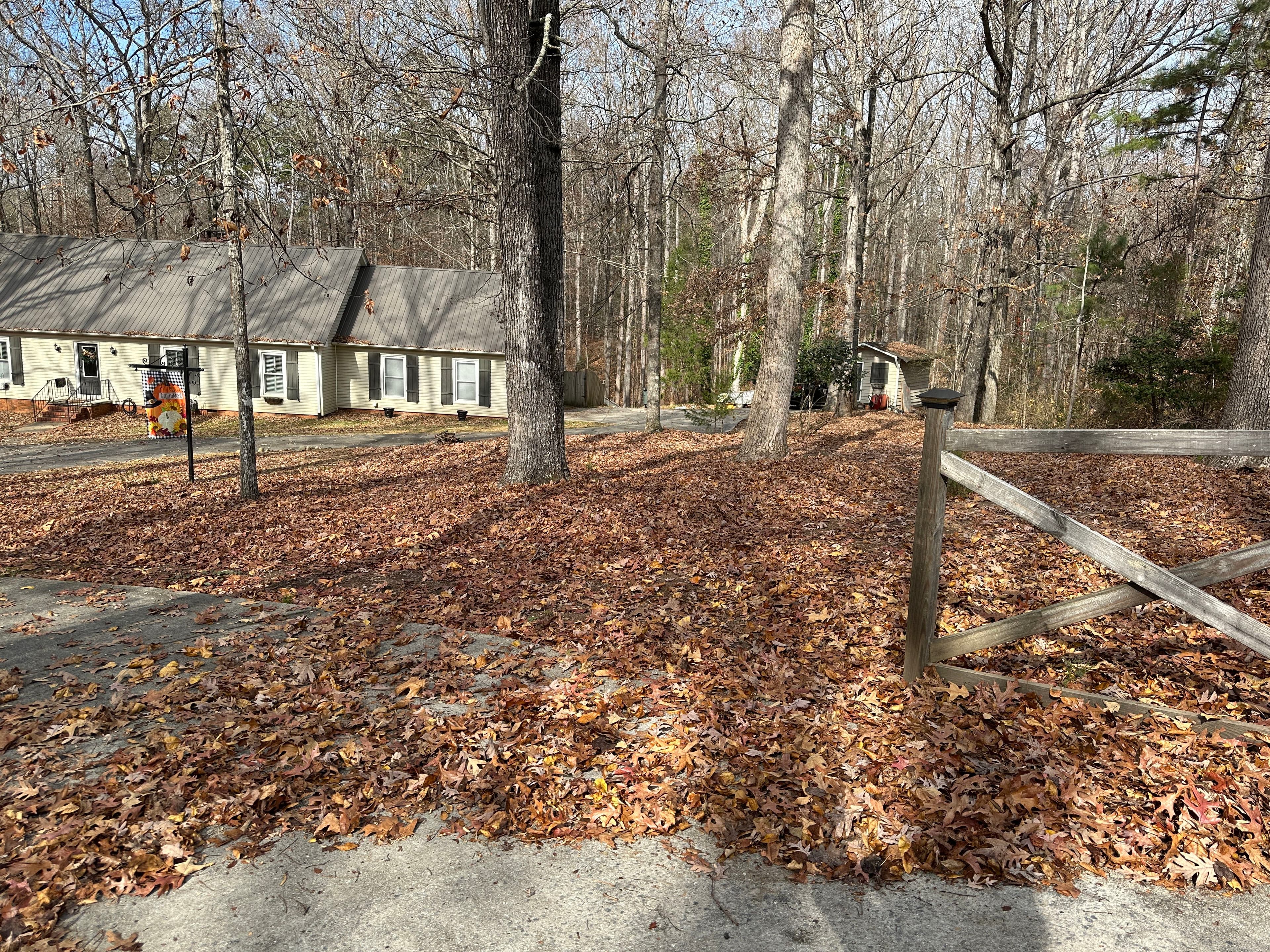 Project Leaf-Free Yard Transformation image