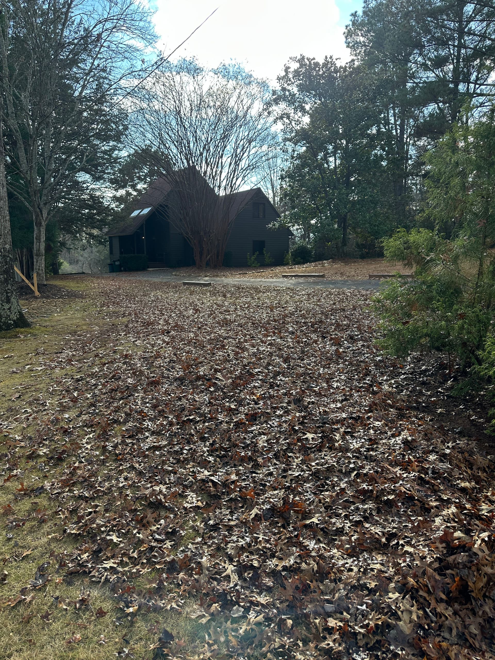 Gallery photos for Leaf Cleanup in Outdoor Spaces: Image #2