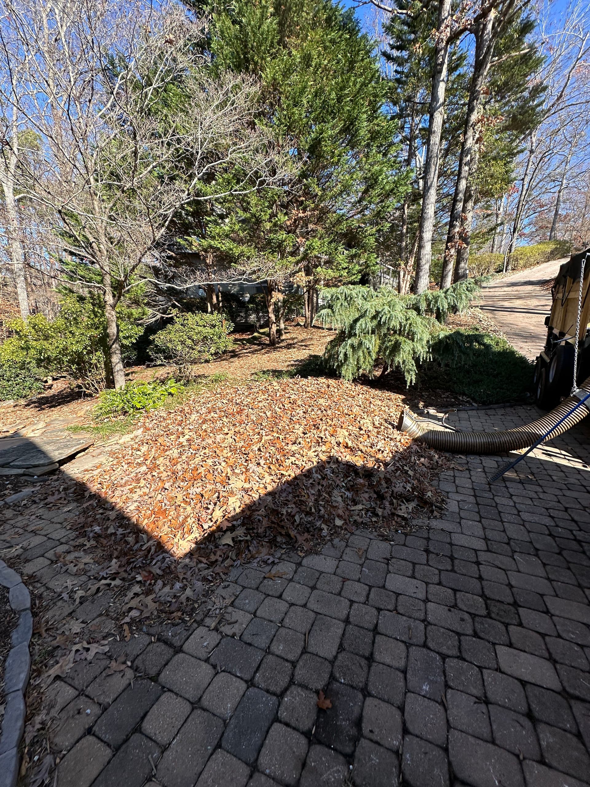 Leaf Cleanup in Outdoor Spaces image