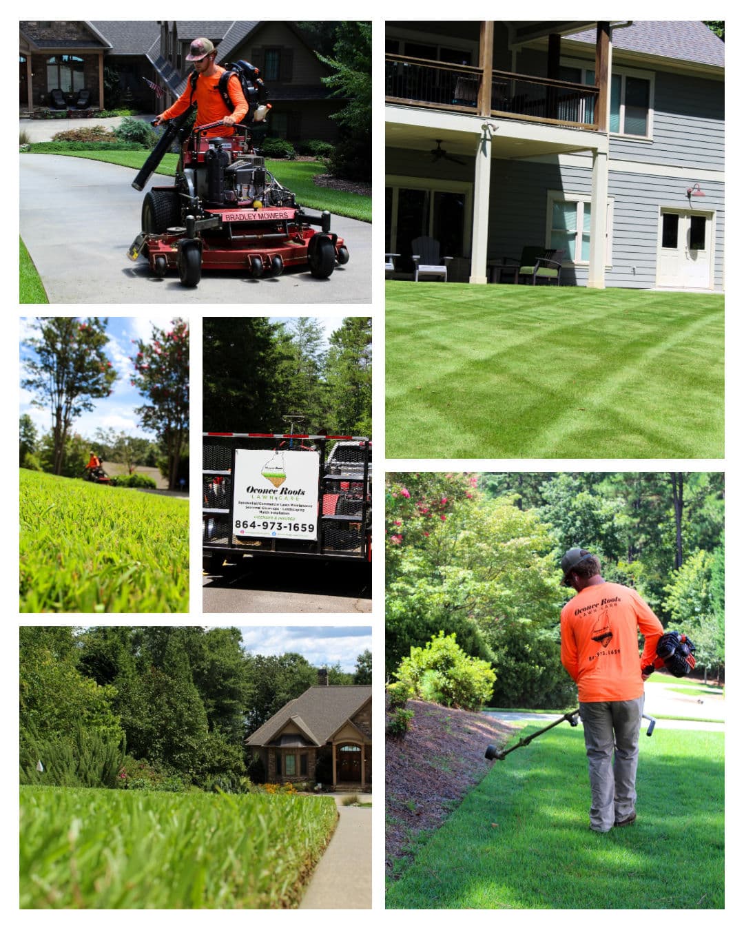 Project Join Our Growing Family - Now Accepting New Lawn Care Clients image