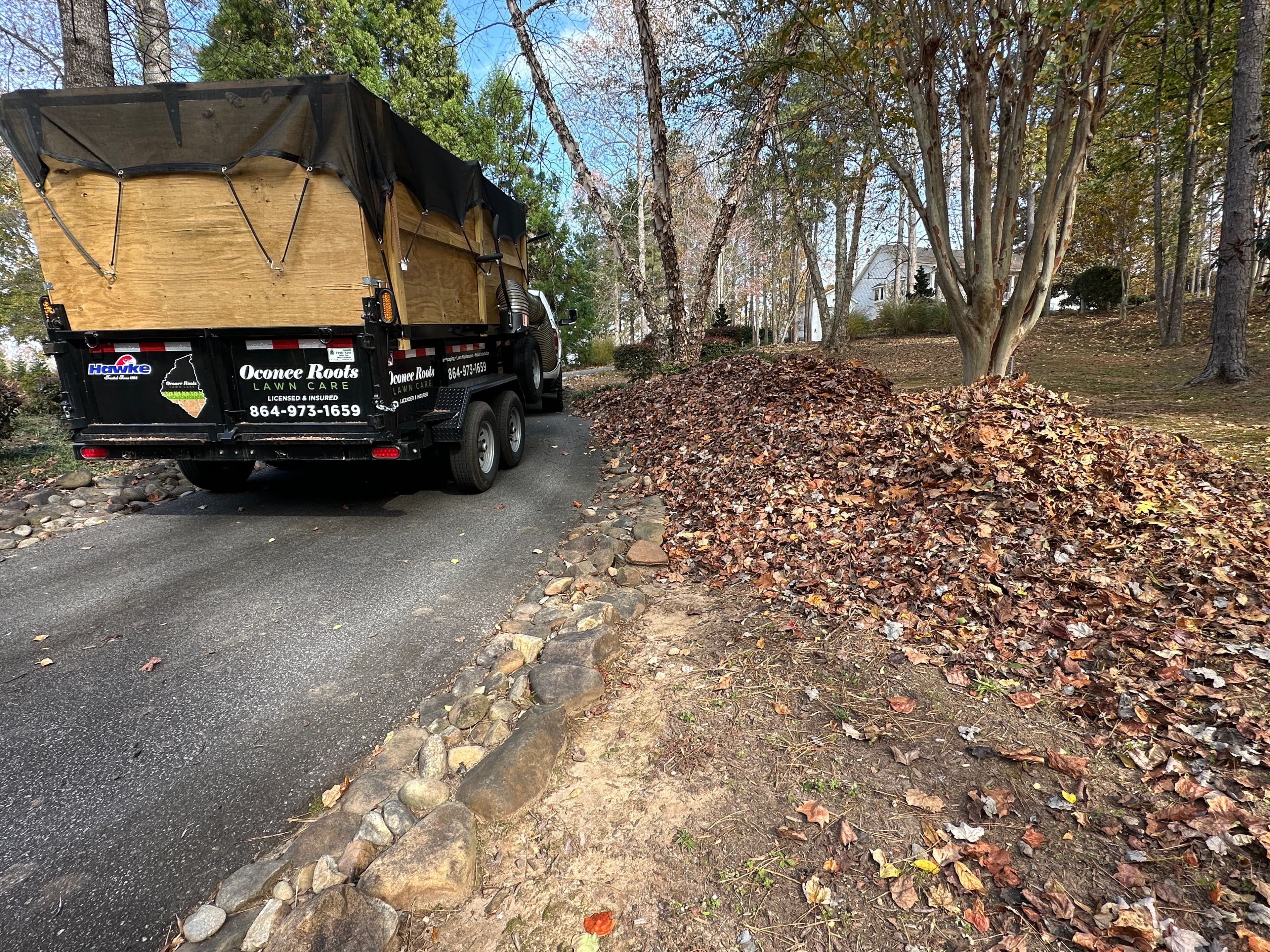 Project Leaf Cleanup Made Easy with Oconee Roots Lawn Care image