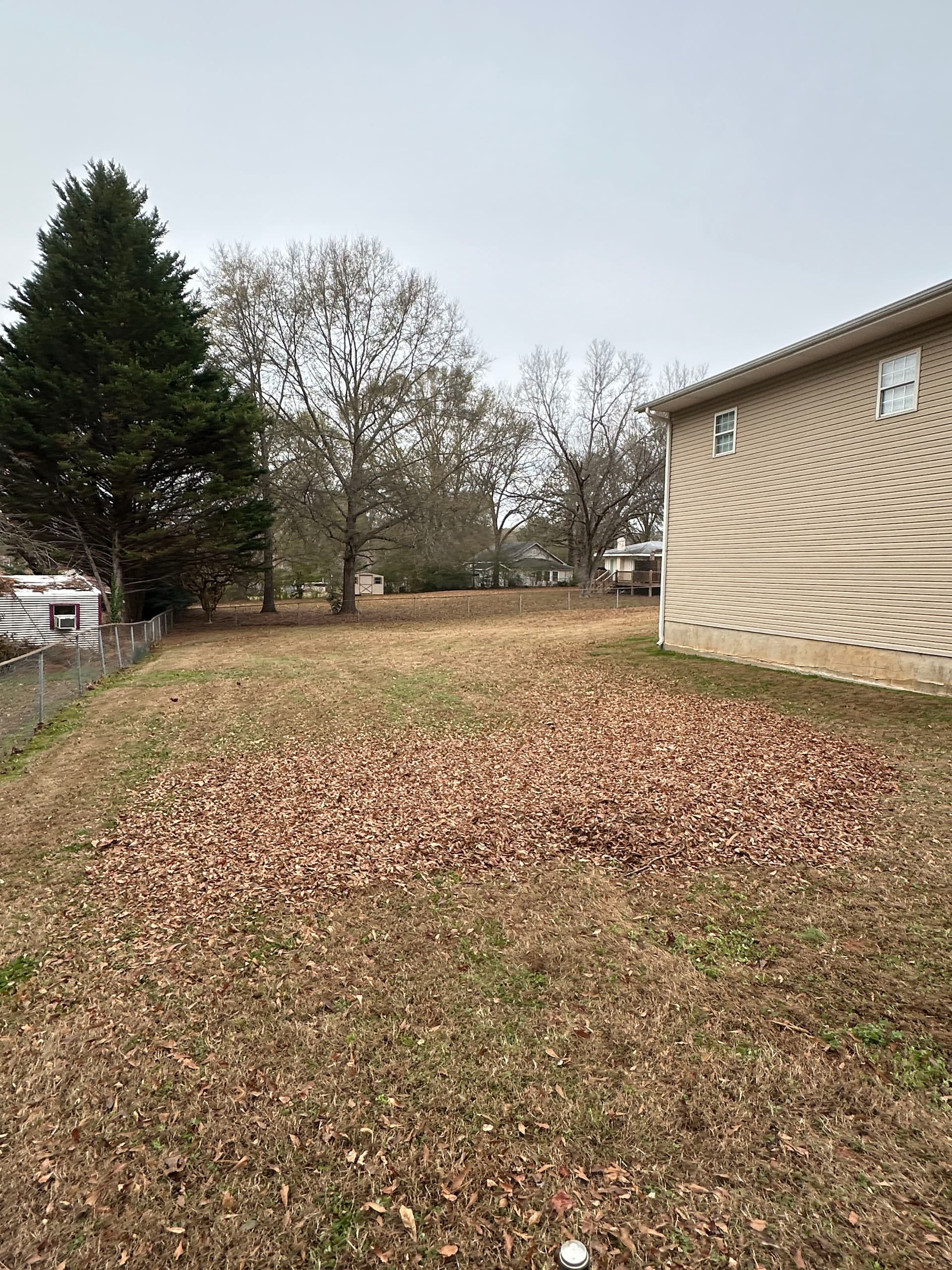 Gallery photos for Effortless Fall Cleanup with Oconee Roots Lawn Care: Image #4