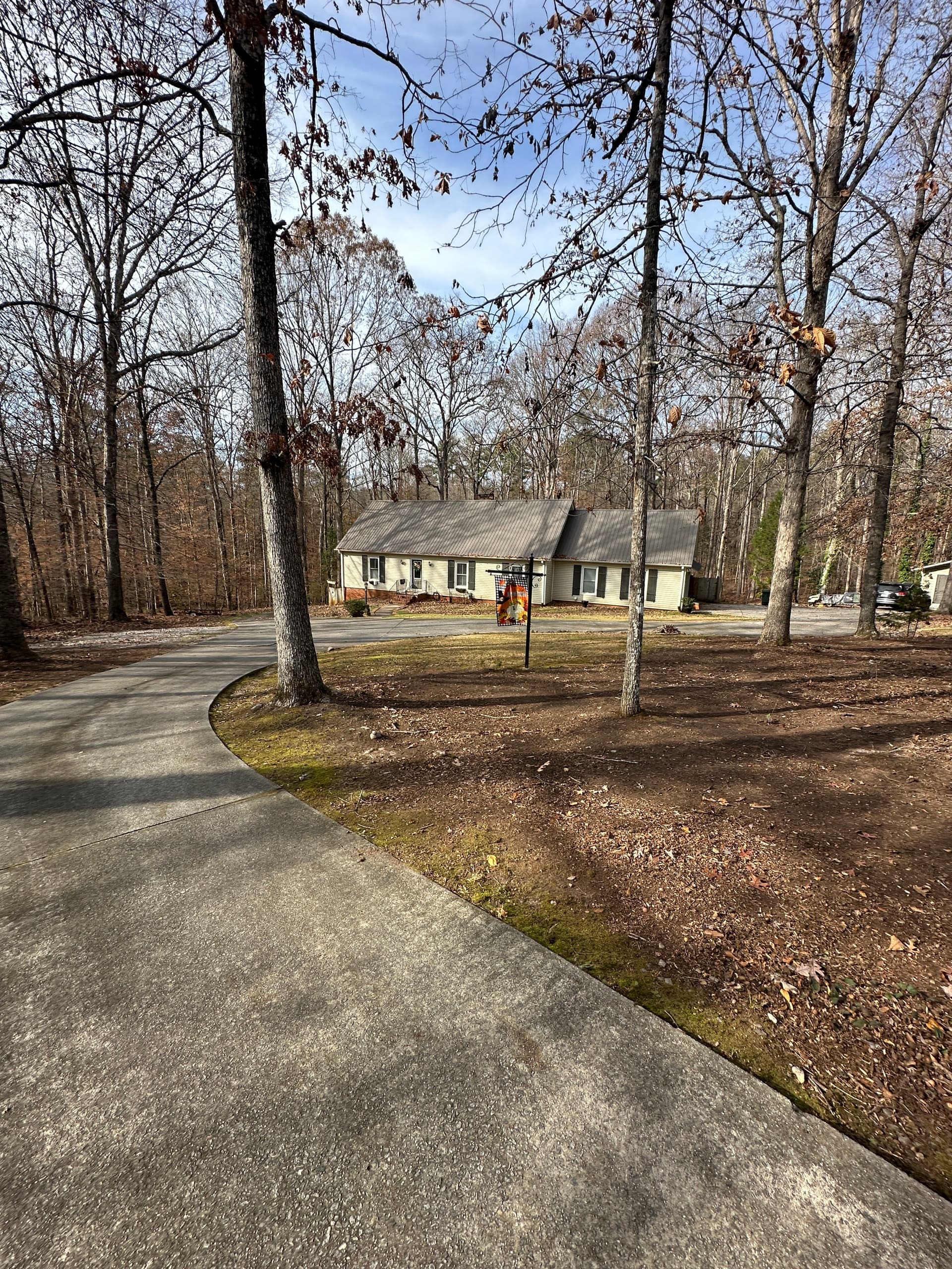 Gallery photos for Leaf-Free Yard Transformation: Image #2