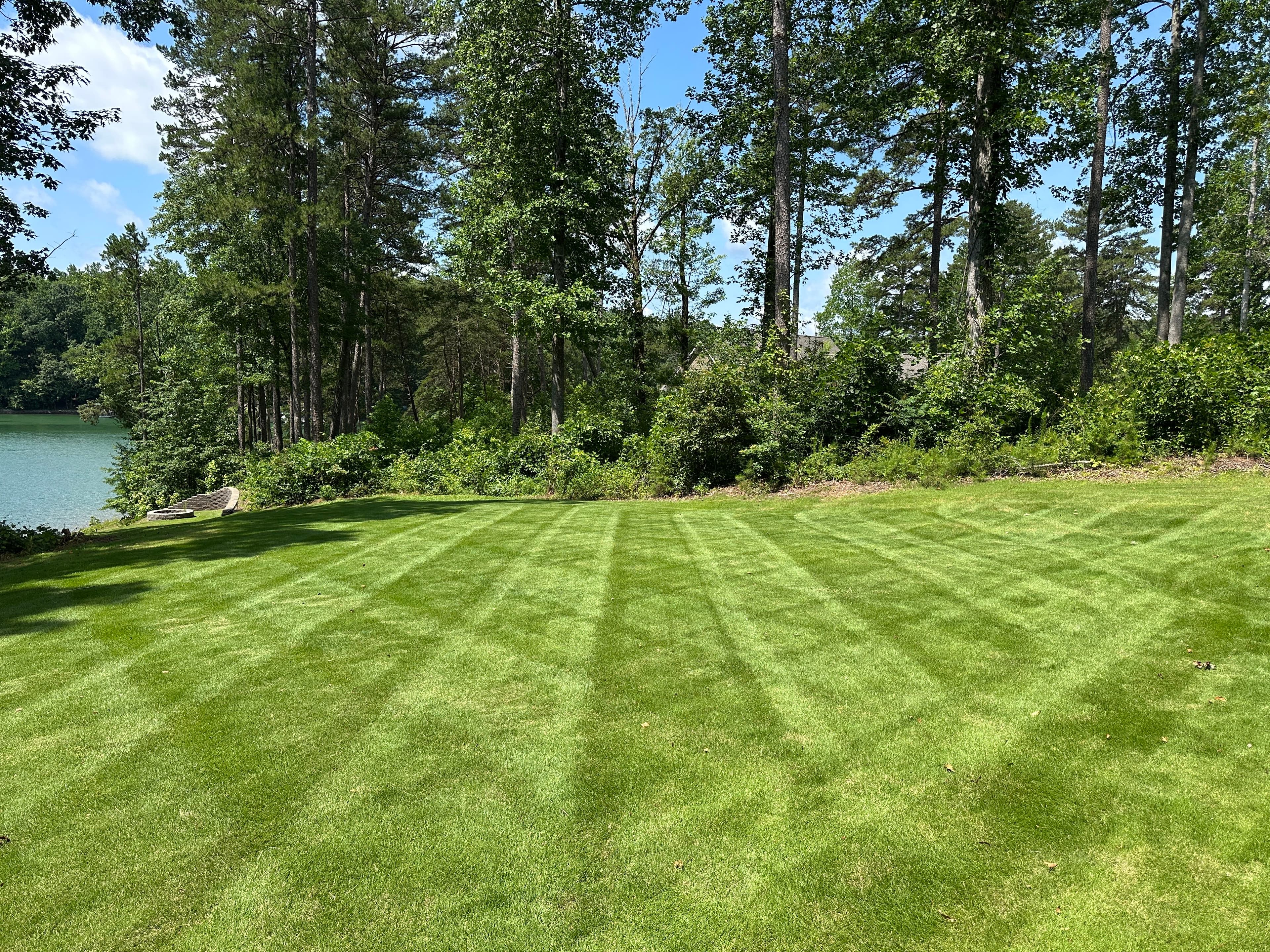 Project Celebrating Trust and Growth with Our Lawn Care Services image