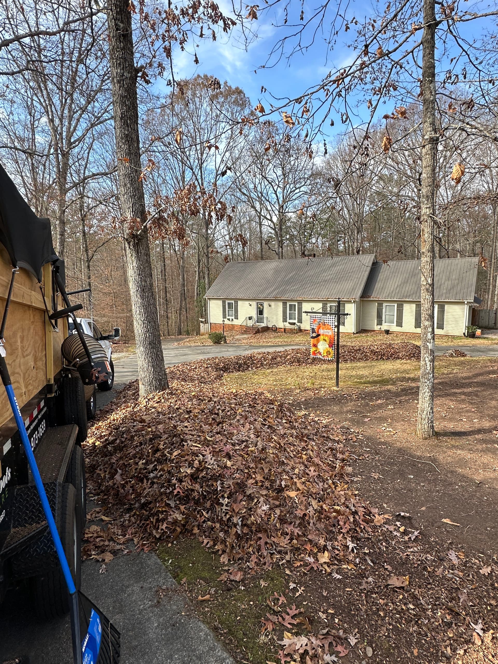 Gallery photos for Leaf-Free Yard Transformation: Image #1