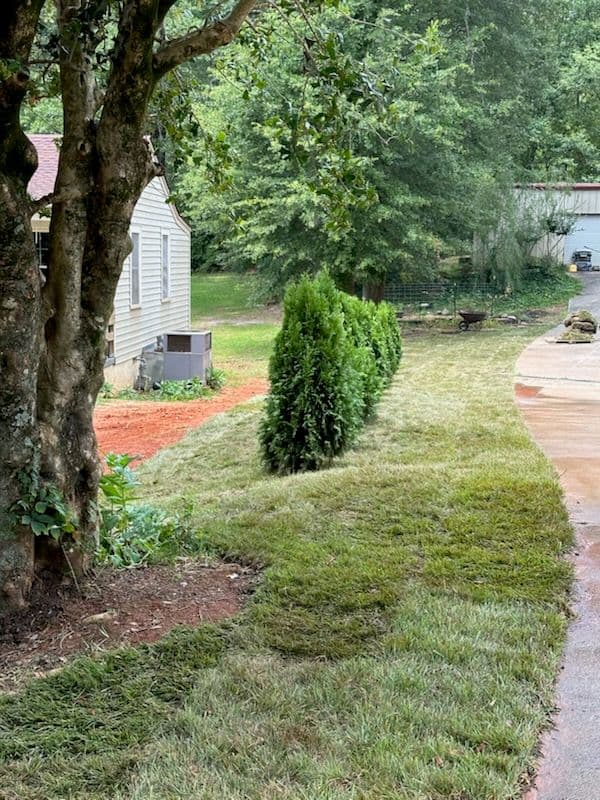 Yard Transformation with Fresh Fescue Sod and Mulch