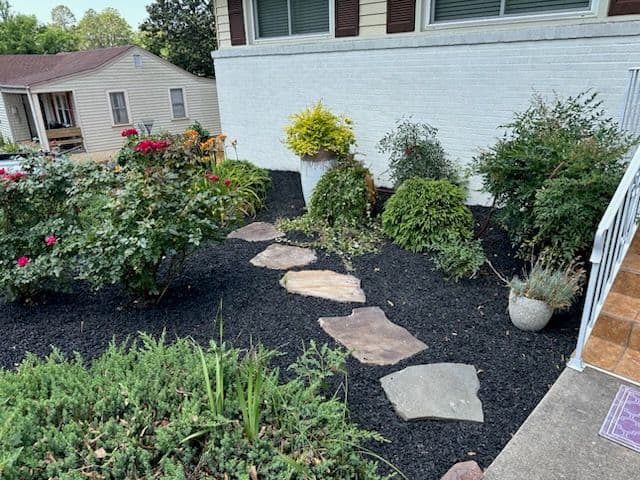 Yard Transformation with Fresh Fescue Sod and Mulch
