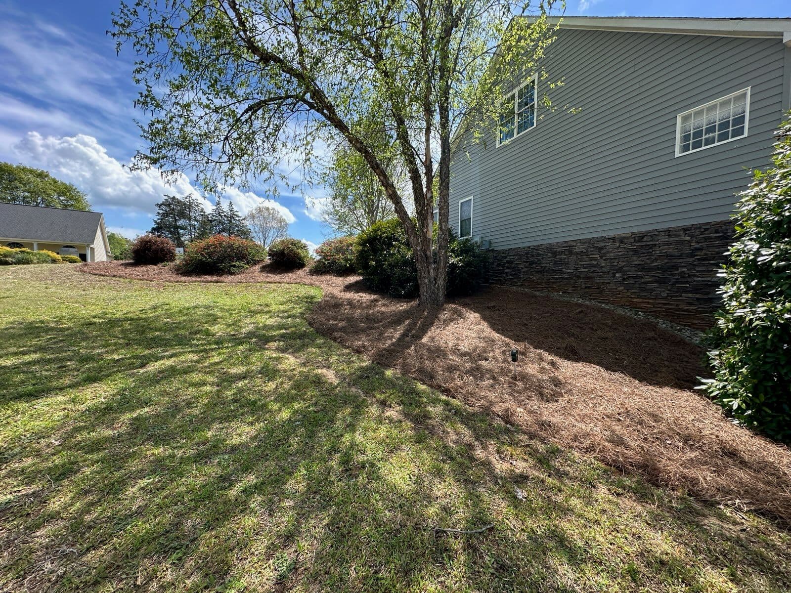 Walhalla Home Pine Needle Transformation