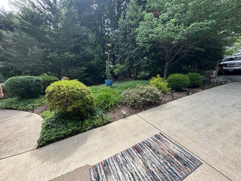 Gallery photos for Landscape Paradise with Fresh Mulch and Greens: Image #2