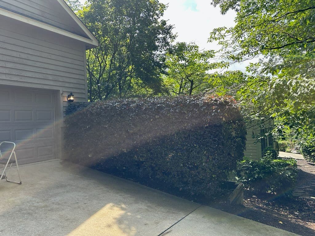 Gallery photos for Lake Keowee Lawn Transformation with Oconee Roots: Image #2