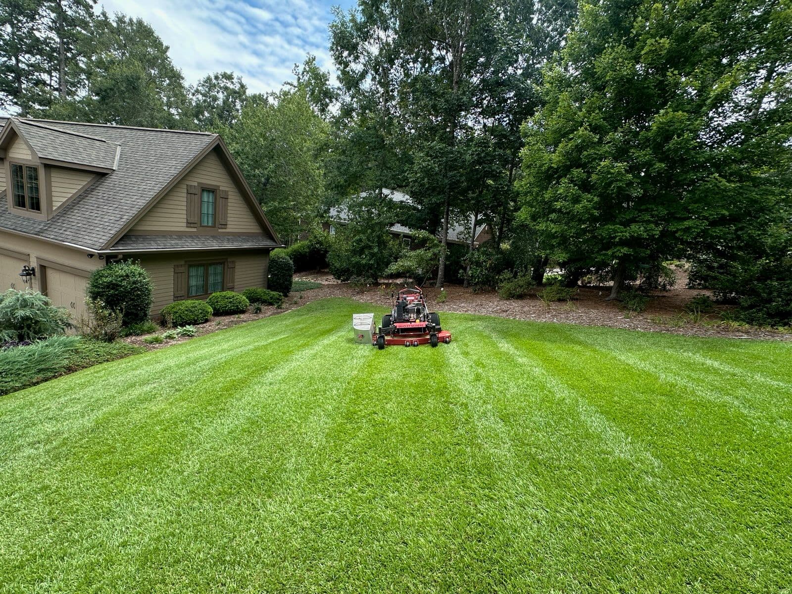 Project Transform Your Yard with Pristine Lawn Care image