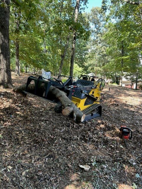 Comprehensive Land Care Solutions in Action