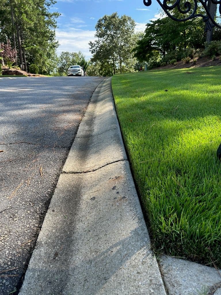 Project Transforming Lawns into Landscapes of Serenity image