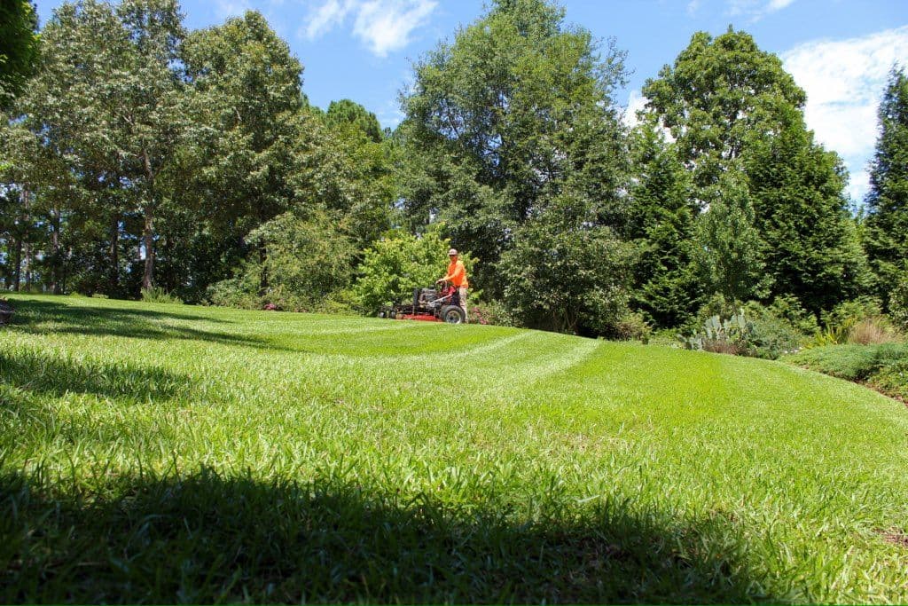 Gallery photos for Lush Lawn Transformation in Lake Keowee: Image #1