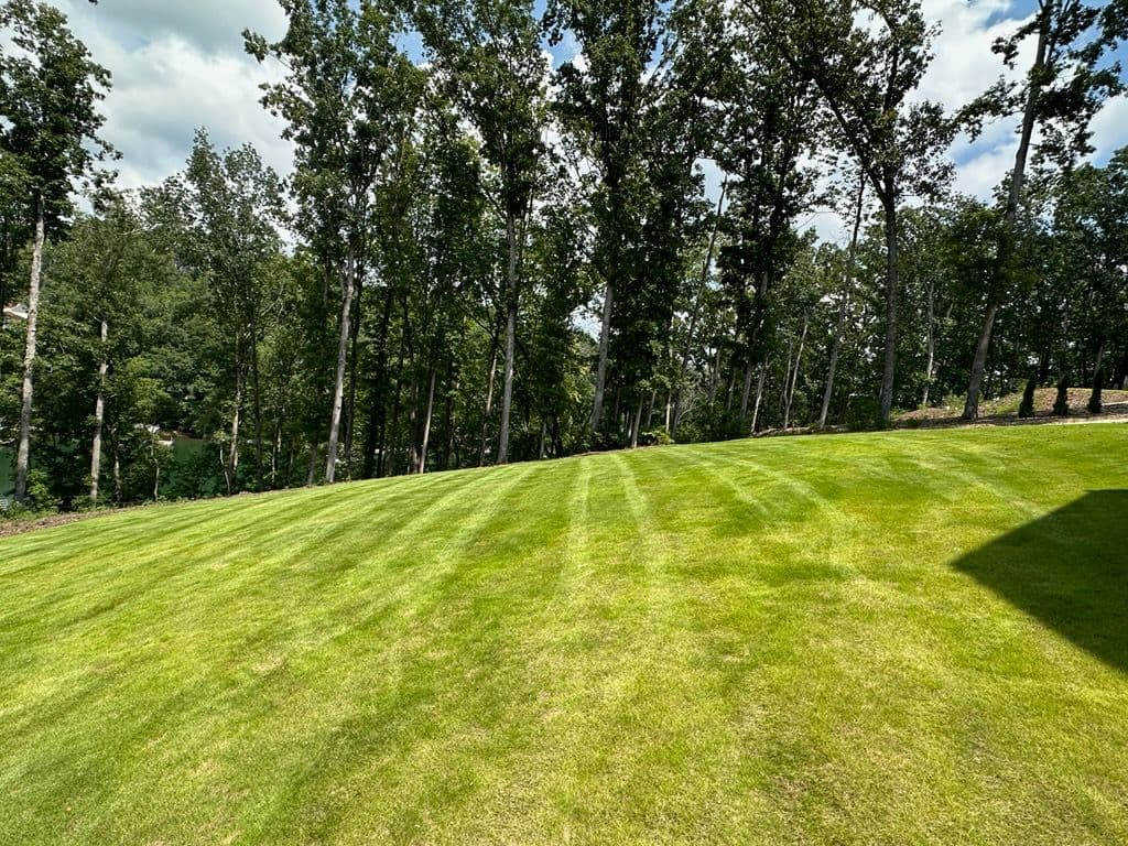 Project Mastering Lawn Care on Steep Slopes image