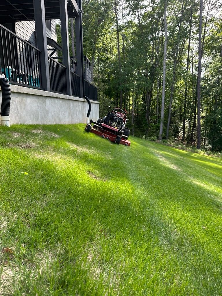 Gallery photos for Mastering Lawn Care on Steep Slopes: Image #1