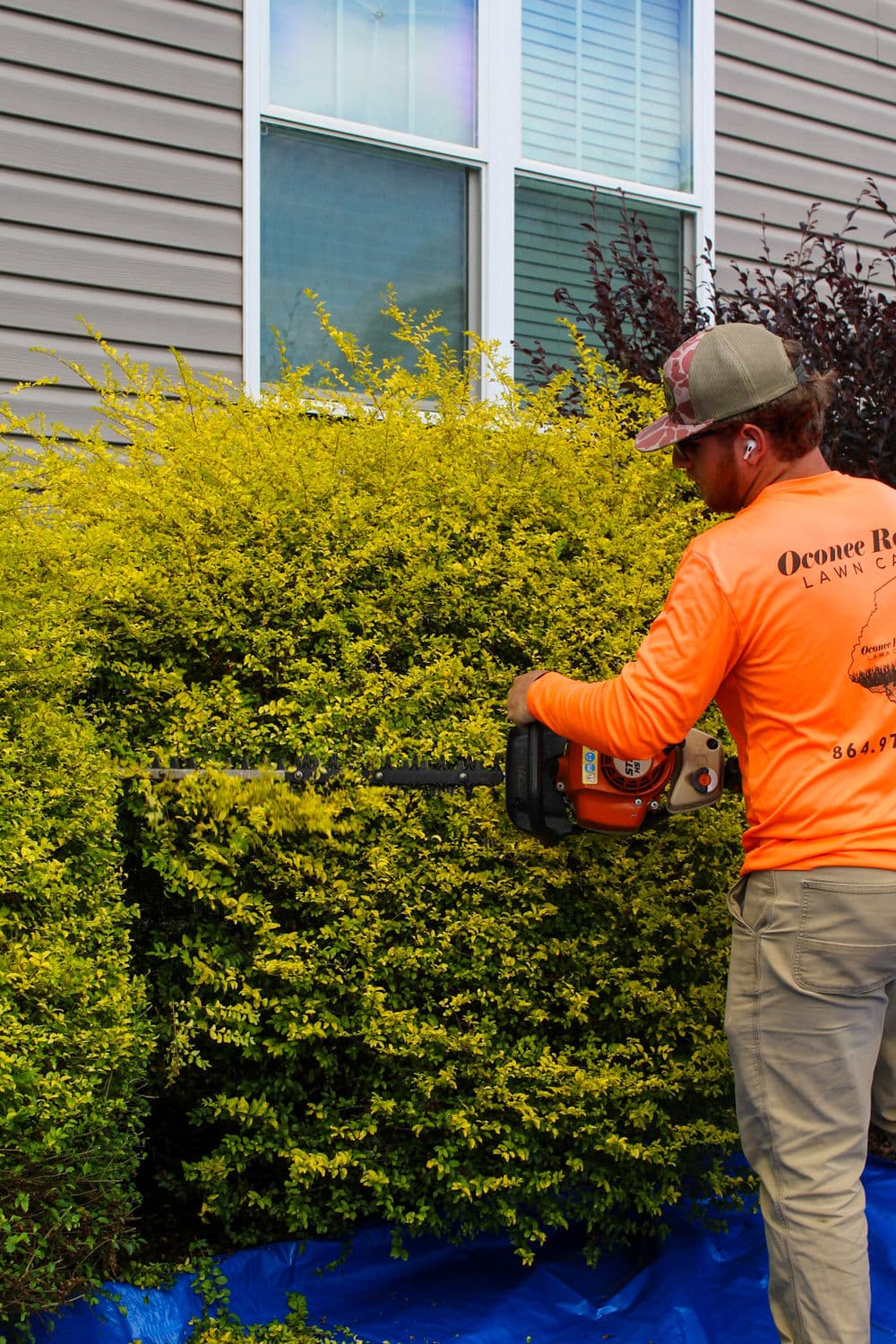 Contact form background