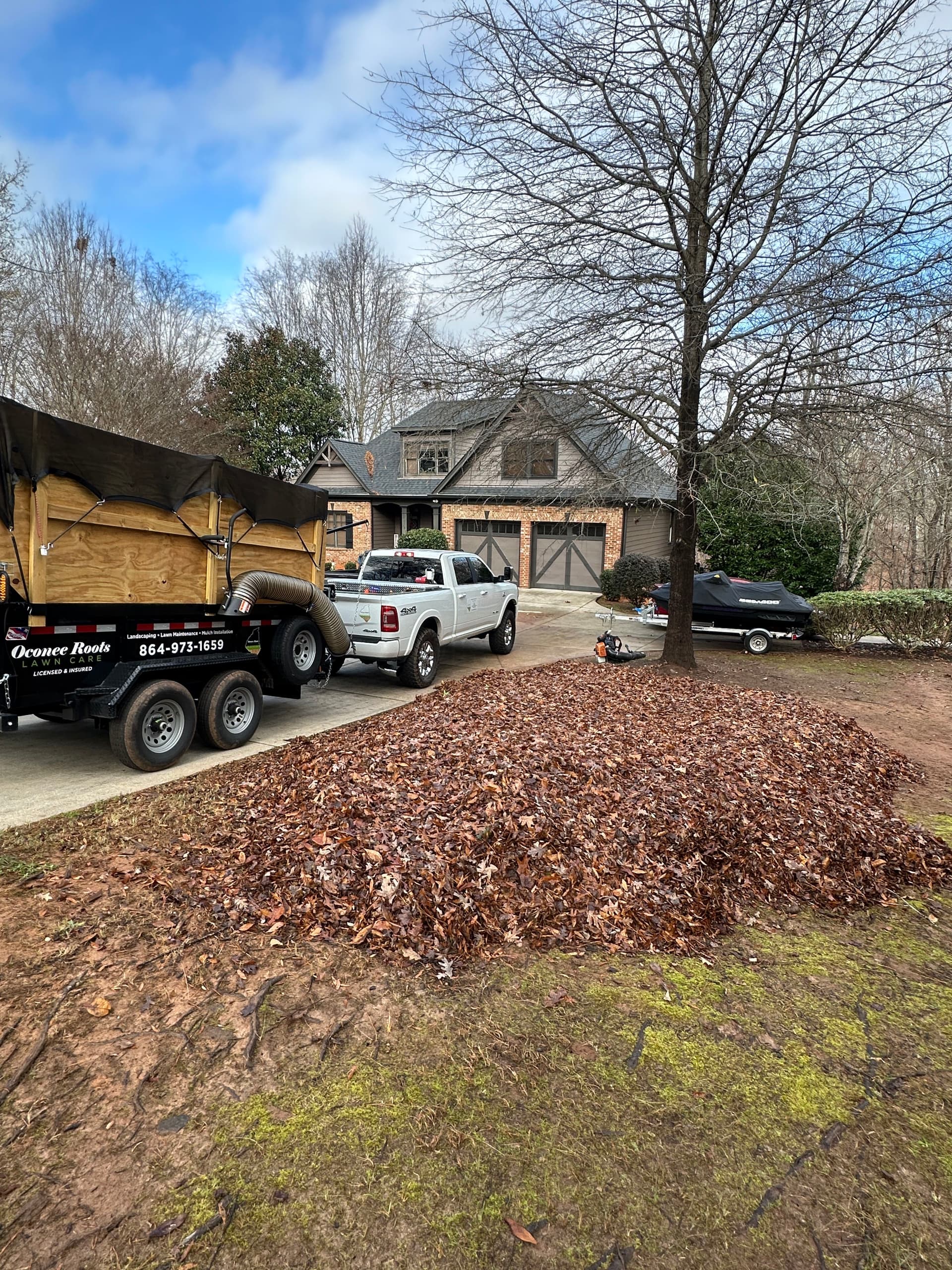 Leaf Cleanup Mastery for a Pristine Yard image