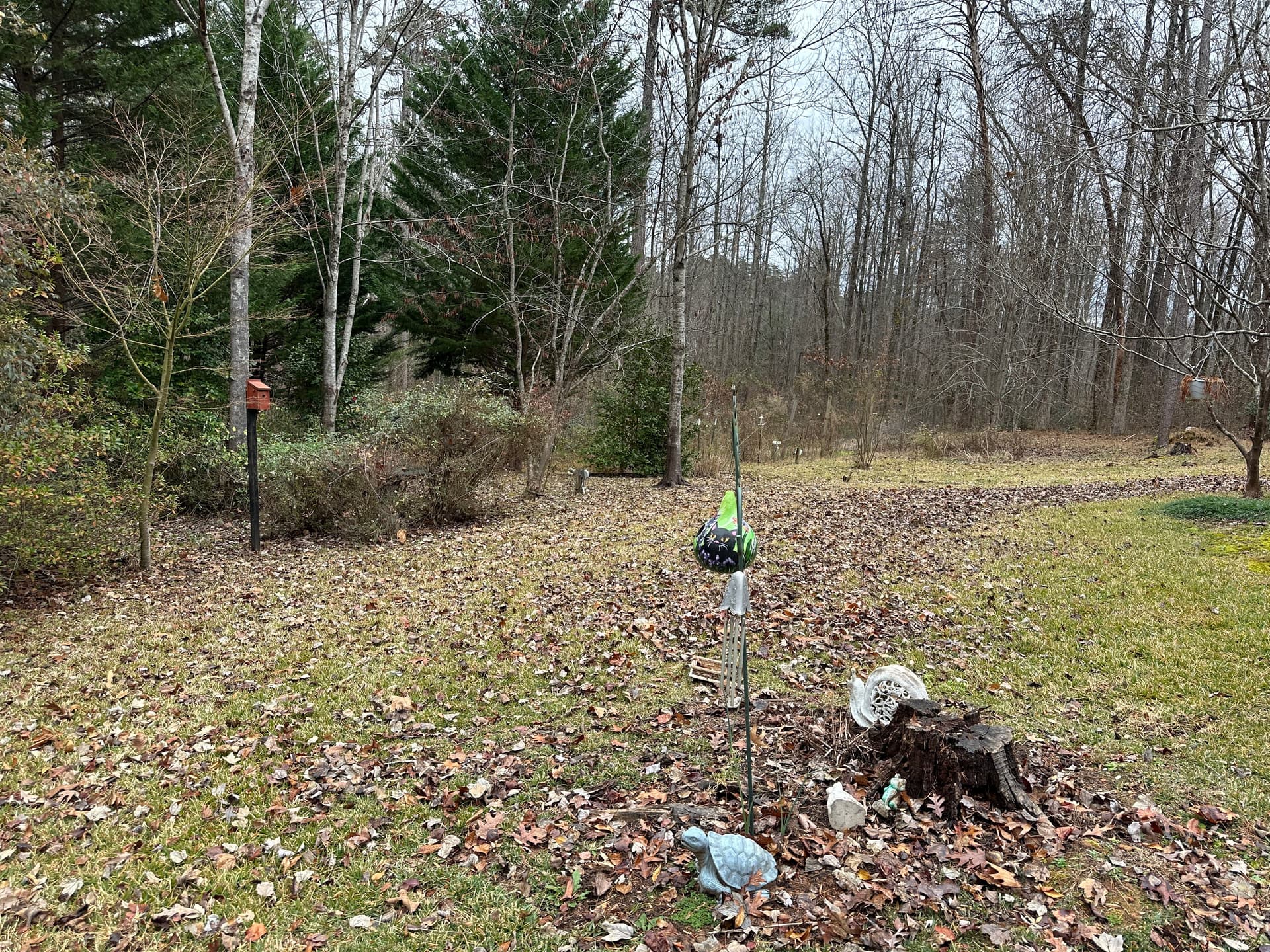 Gallery photos for Leaf Cleanup Mastery for a Pristine Yard: Image #4