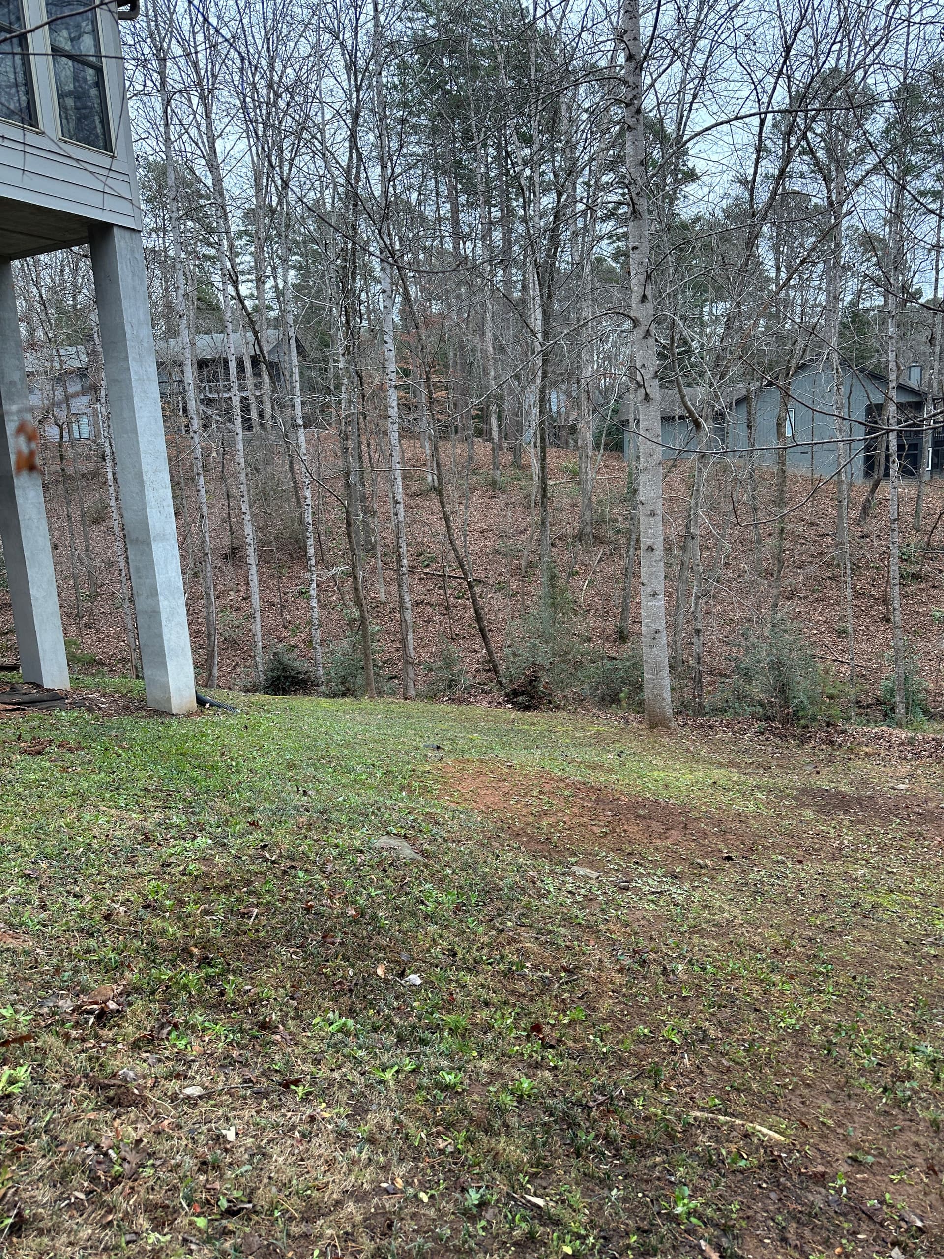 Gallery photos for Leaf Cleanup Mastery for a Pristine Yard: Image #3