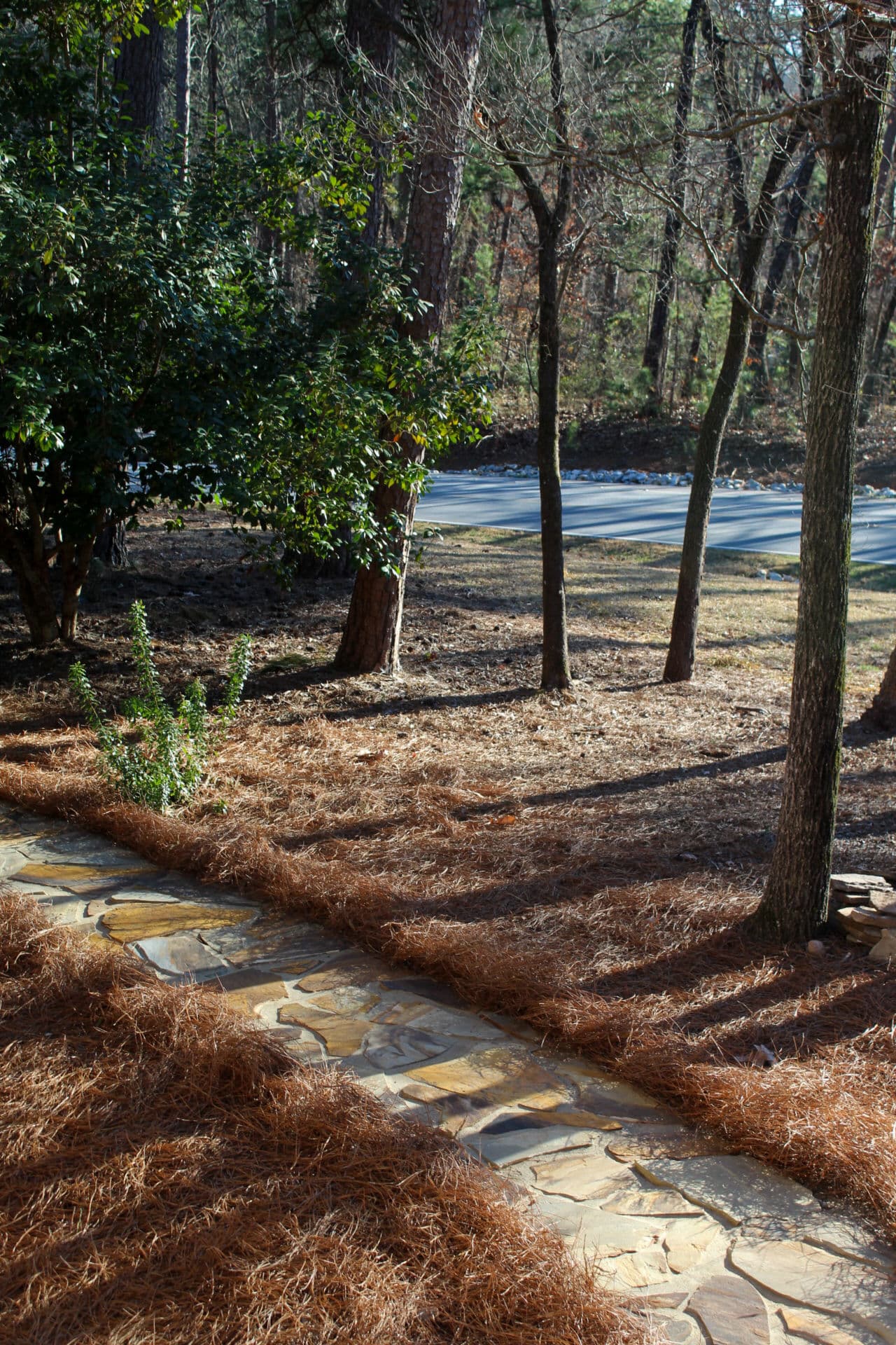 Gallery photos for Natural Flagstone Walkway Enhancement at Keowee: Image #5