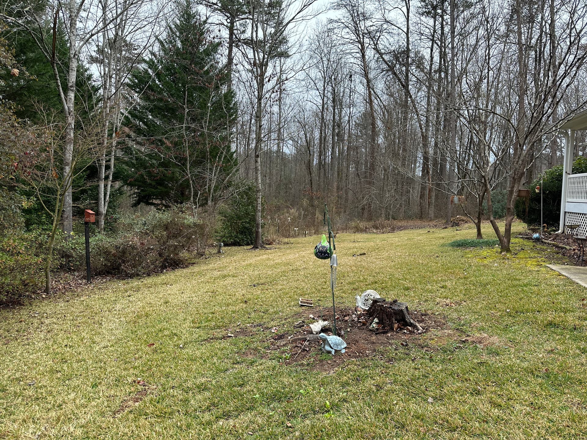 Gallery photos for Leaf Cleanup Mastery for a Pristine Yard: Image #5