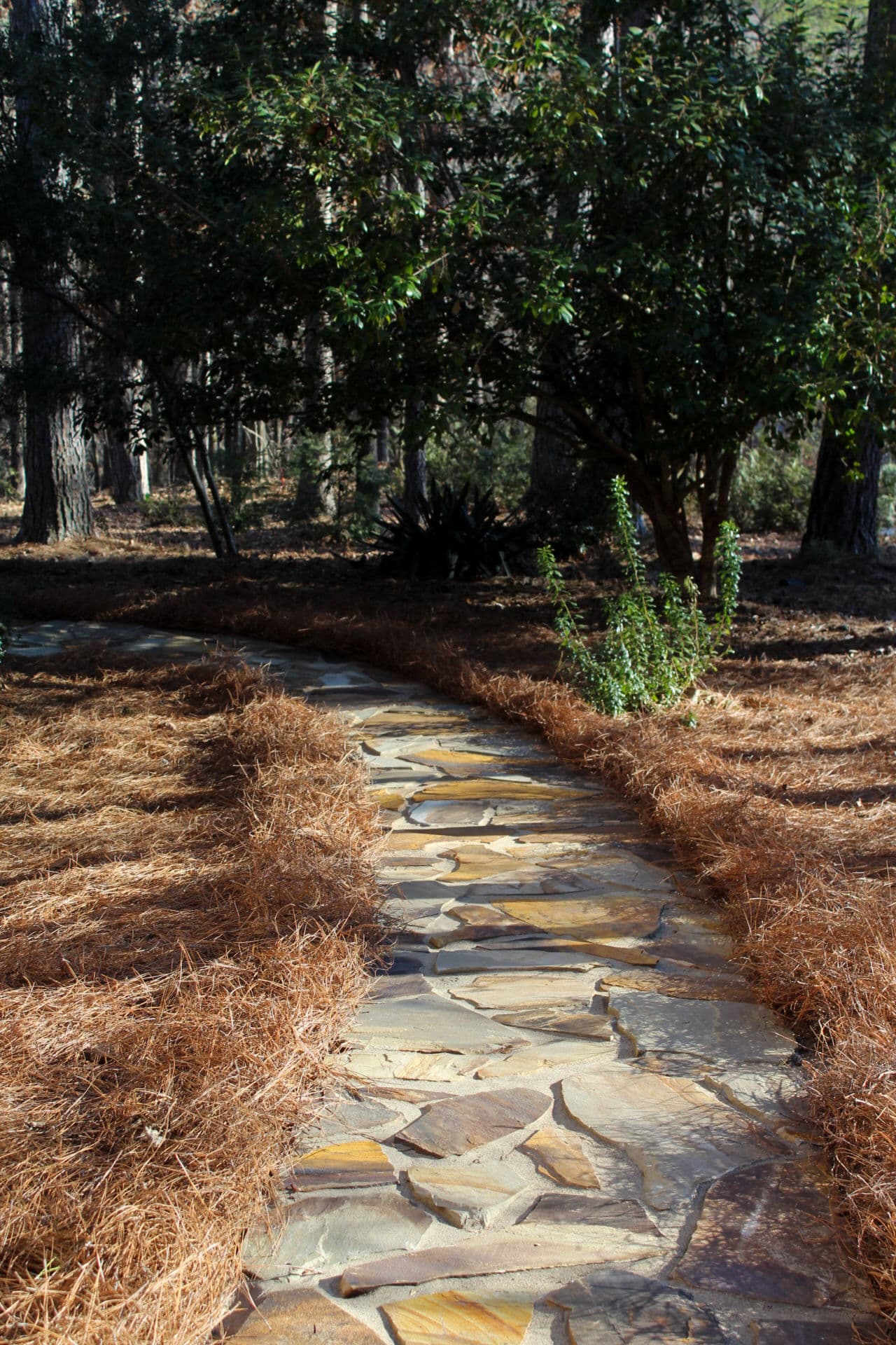 Gallery photos for Natural Flagstone Walkway Enhancement at Keowee: Image #4